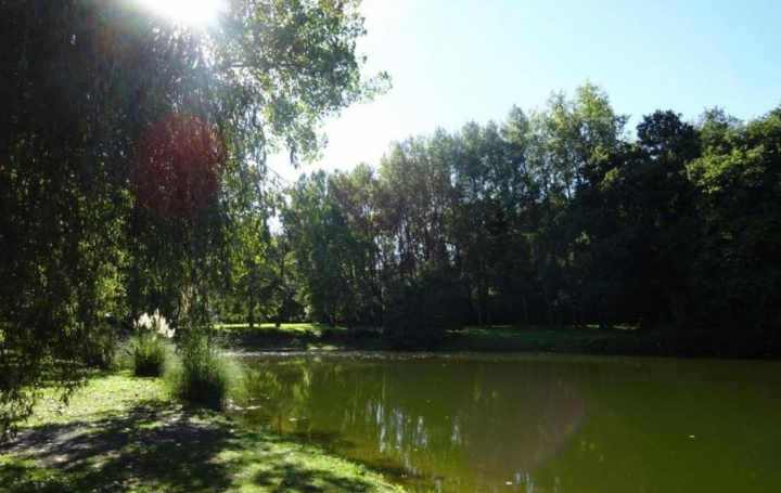 Réseau Immo-diffusion : Domaine  SIZUN  430 m2 416 000 € 