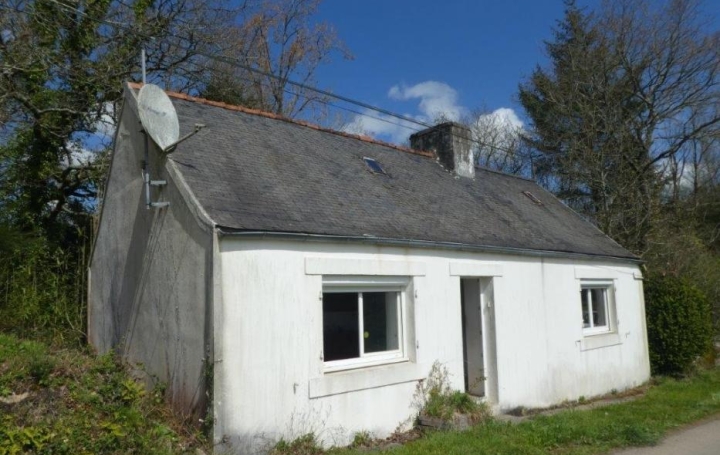 Réseau Immo-diffusion : Maison  PLOUIGNEAU  55 m2 58 000 € 
