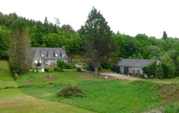 Réseau Immo-diffusion : Maison  HUELGOAT  310 m2 364 000 € 