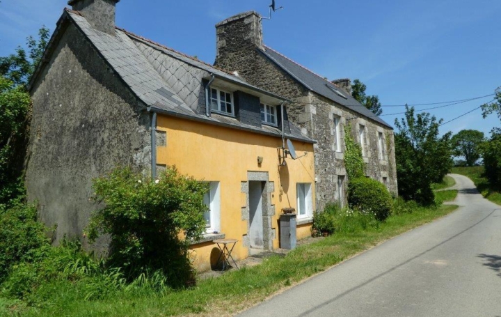 Réseau Immo-diffusion : Maison  PLOUGONVER  179 m2 106 000 € 