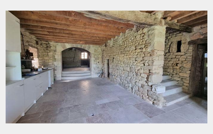 Réseau Immo-diffusion : Maison  GAILLAC  300 m2 315 000 € 