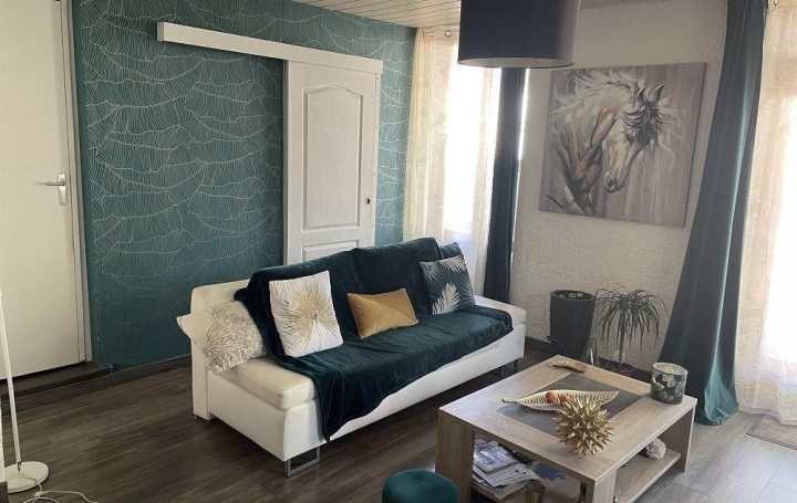 Réseau Immo-diffusion : Maison de village  SAINT-SULPICE-LA-POINTE  92 m2 225 000 € 