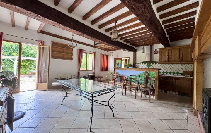Maison VILLEMUR-SUR-TARN (31340)  355 m2 460 000 € 