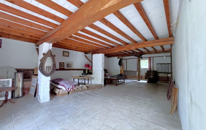 Maison VILLEMUR-SUR-TARN (31340)  355 m2 460 000 € 