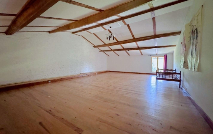 Maison VILLEMUR-SUR-TARN (31340)  355 m2 460 000 € 