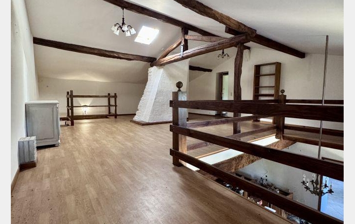 Maison VILLEMUR-SUR-TARN (31340)  355 m2 460 000 € 