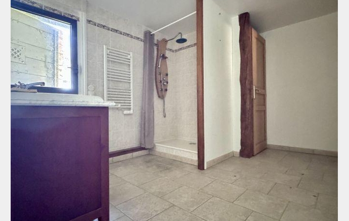 Maison VILLEMUR-SUR-TARN (31340)  355 m2 460 000 € 