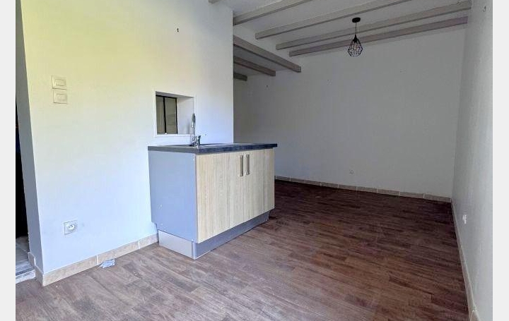 Maison VILLEMUR-SUR-TARN (31340)  355 m2 460 000 € 