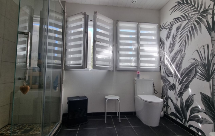 Maison MONTASTRUC-LA-CONSEILLERE (31380)  206 m2 519 000 € 