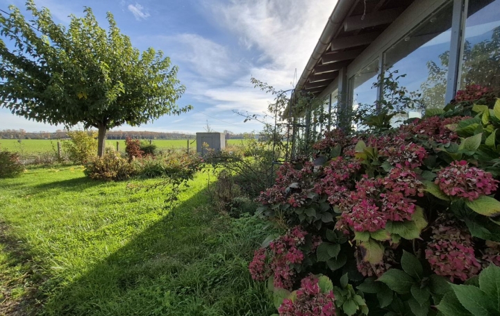 Maison BUZET-SUR-TARN (31660)  146 m2 315 000 € 