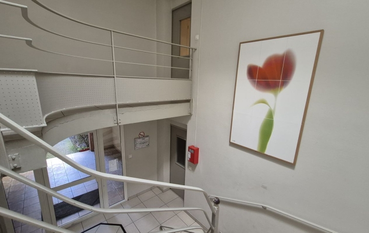 3 Pièces AUCAMVILLE (31140)  52 m2 165 000 € 