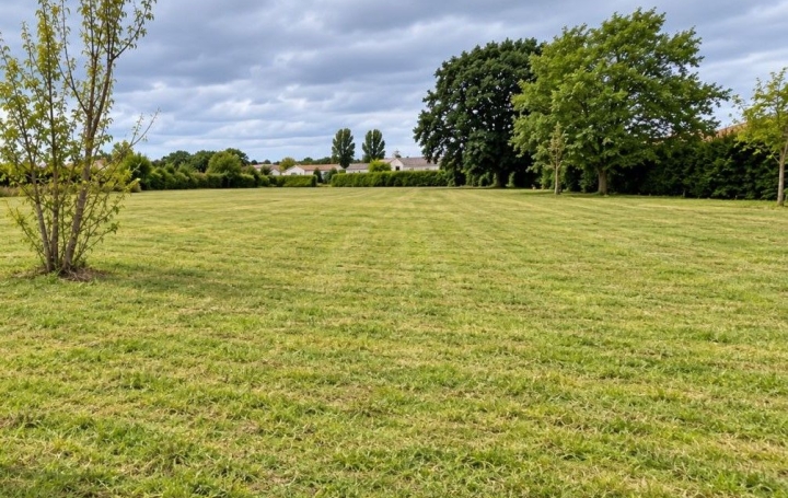 Vente terrain constructible · à Saint-Sulpice-la-Pointe · 147 000 €