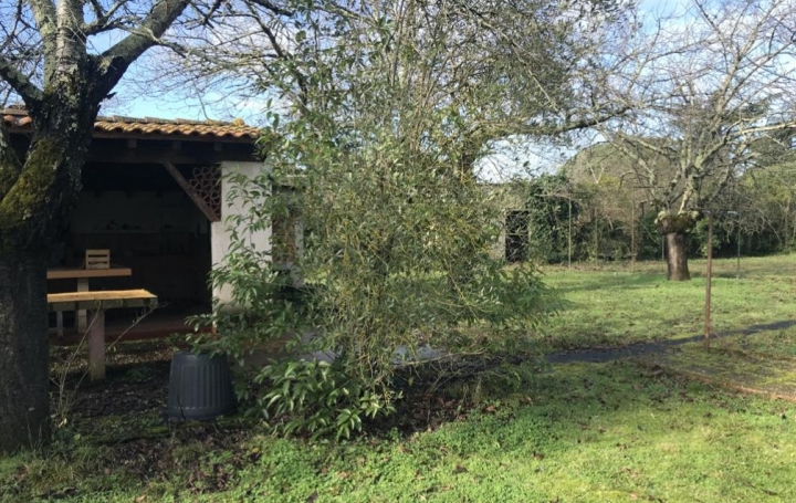 Réseau Immo-diffusion : Terrain  TOURNEFEUILLE  1 100 m2 265 000 € 