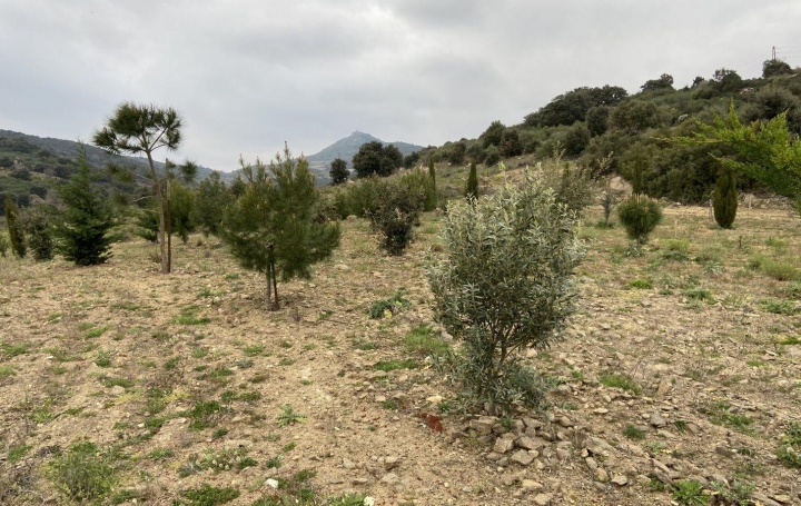 Réseau Immo-diffusion : Terrain  RASIGUERES  32 m2 74 000 € 