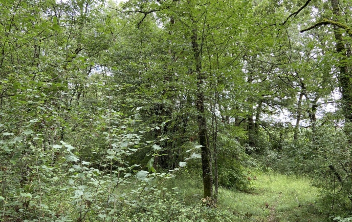 Réseau Immo-diffusion : Terrain  VERFEIL   19 500 € 