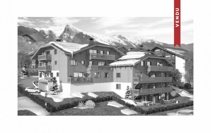 Réseau Immo-diffusion : Appartement P3  SAMOENS  100 m2 575 000 € 