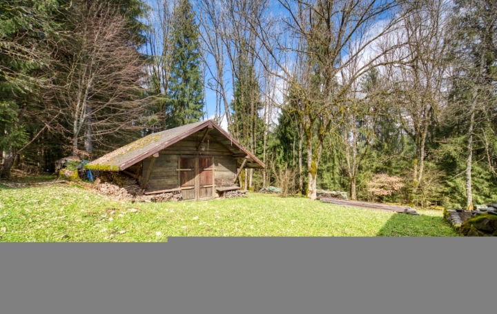 Maison MORILLON (74440)  150 m2 390 000 € 