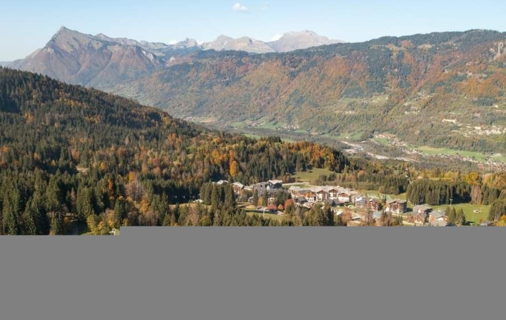 2 Pièces MORILLON (74440)  22 m2 89 000 € 