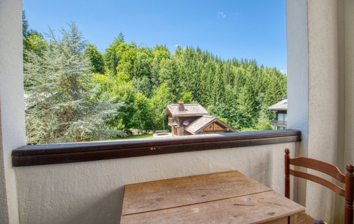 Studio MORILLON (74440)  21 m2 89 000 € 