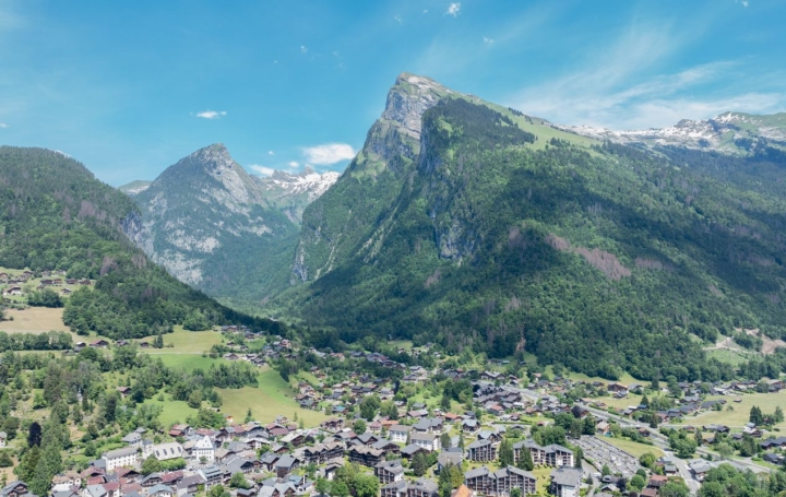 5 Pièces SAMOENS (74340)  100 m2 716 000 € 