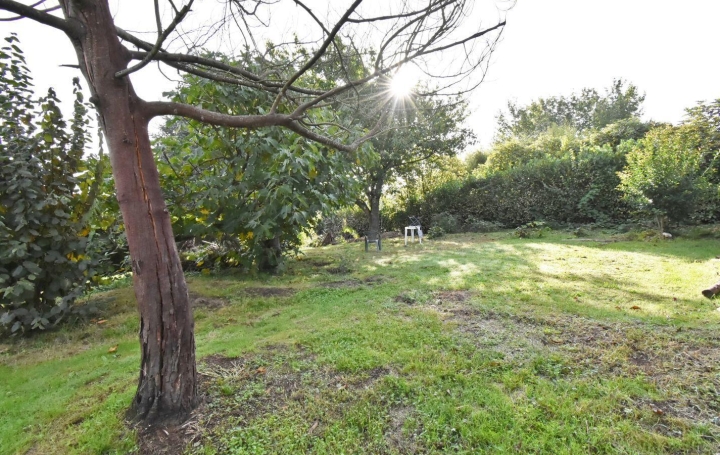 Réseau Immo-diffusion : Terrain  HASPARREN   77 000 € 