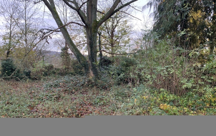 Maison MONNEVILLE (60240)  170 m2 148 000 € 