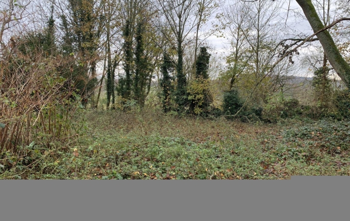 Maison MONNEVILLE (60240)  170 m2 148 000 € 