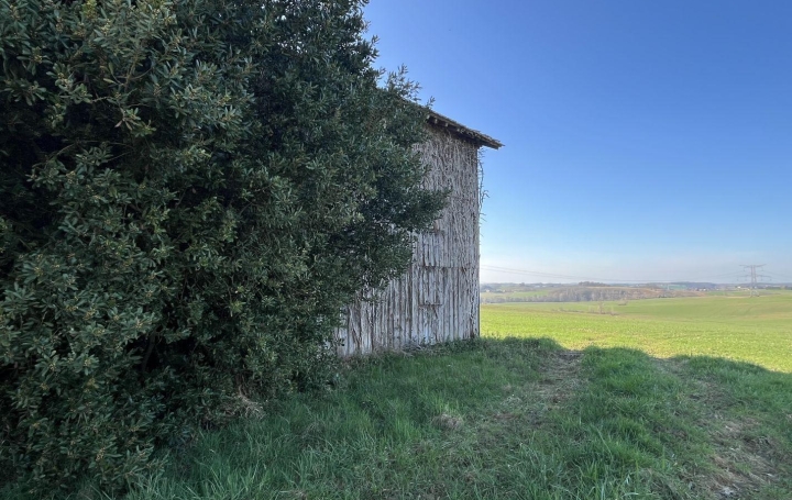 Maison VERTEUIL-D'AGENAIS (47260)  85 m2 17 000 € 