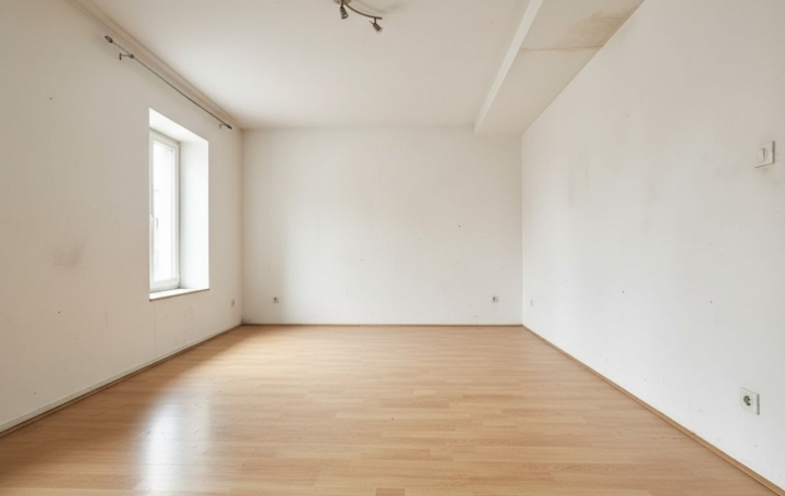 Immeuble SAINTE-LIVRADE-SUR-LOT (47110)  160 m2 118 000 € 