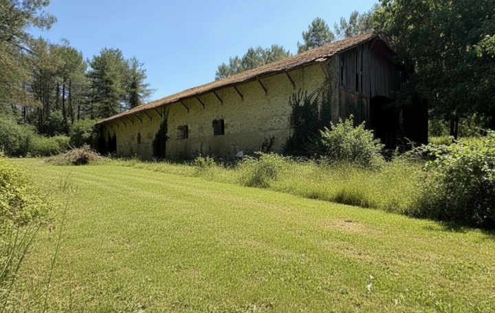 Maison VERTEUIL-D'AGENAIS (47260)  500 m2 70 000 € 