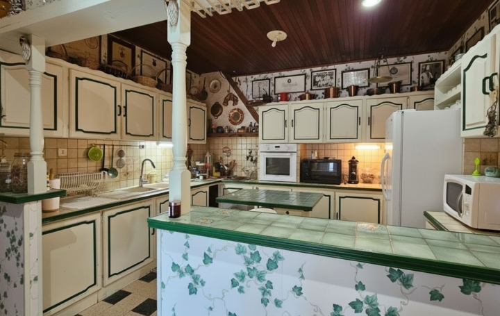 Maison VIANNE (47230)  170 m2 119 000 € 