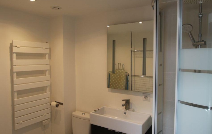 Studio SAINT-ETIENNE (42000)  22 m2 422 € 