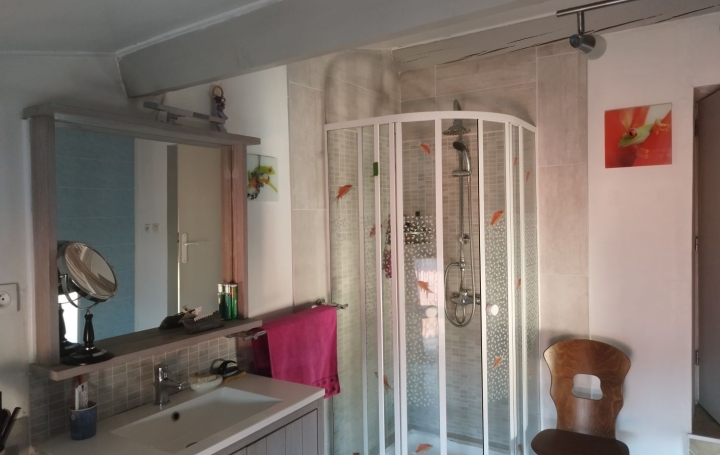 Maison SAINT-PIERRE-DE-BOEUF (42520)  179 m2 249 000 € 