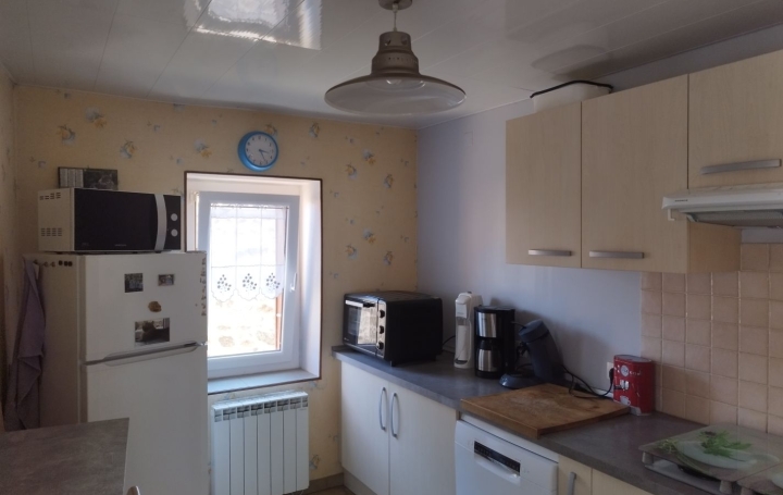 Maison SAINT-PIERRE-DE-BOEUF (42520)  179 m2 249 000 € 