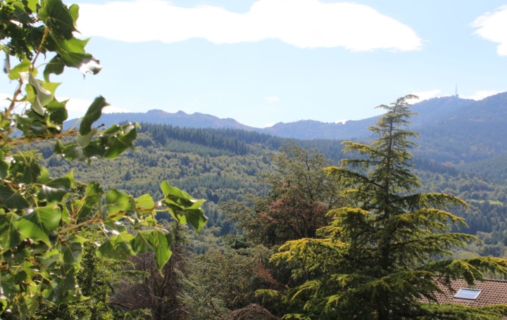 Maison PELUSSIN (42410)  134 m2 360 000 € 