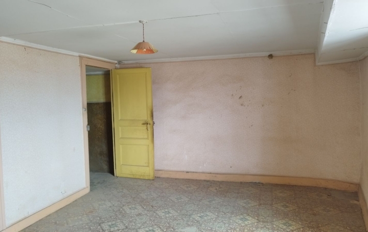 Maison PELUSSIN (42410)  140 m2 76 000 € 