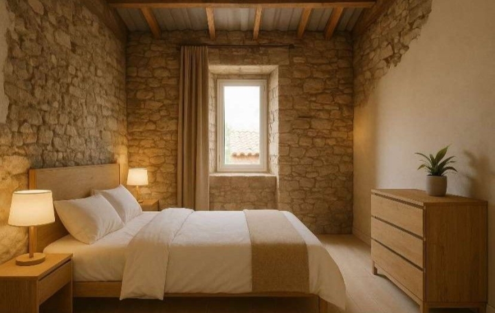 Maison PELUSSIN (42410)  80 m2 85 000 € 