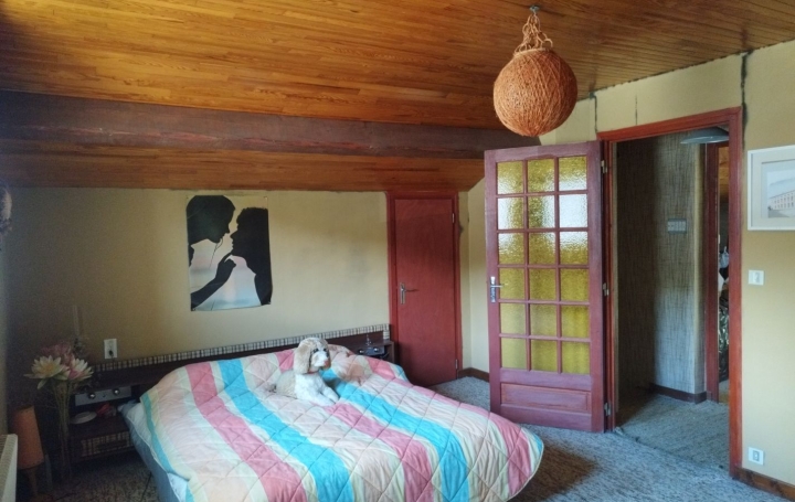 Maison SAINT-PIERRE-DE-BOEUF (42520)  124 m2 229 000 € 