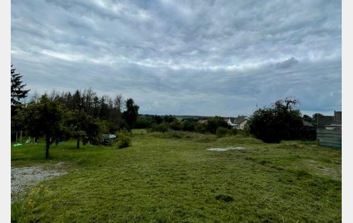 Réseau Immo-diffusion : Terrain  HAMBACH  2 300 m2 70 000 € 