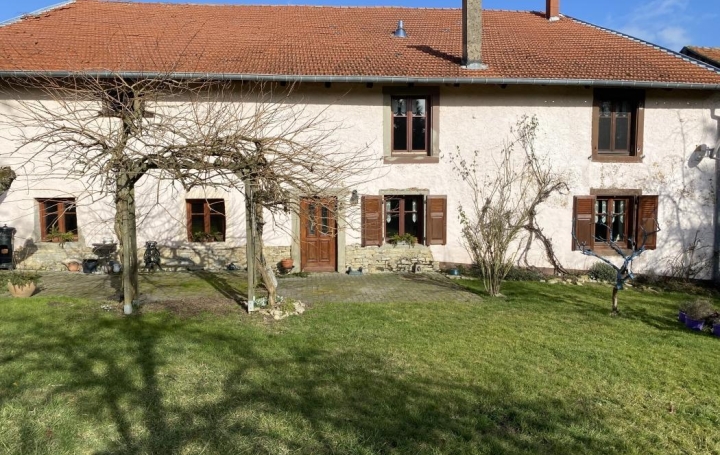 Réseau Immo-diffusion : Maison  INSVILLER  176 m2 157 000 € 