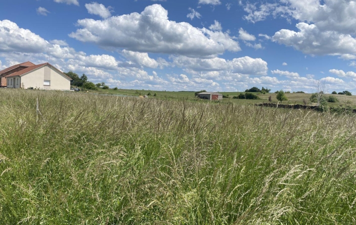 Réseau Immo-diffusion : Terrain  INSVILLER   18 590 € 