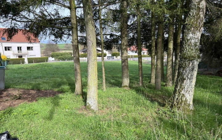 Terrain PUTTELANGE-AUX-LACS (57510)   75 000 € 