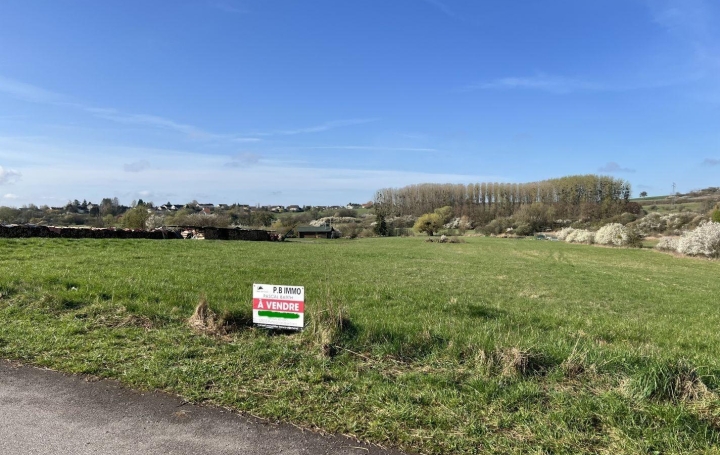 Réseau Immo-diffusion : Terrain  HAMBACH   147 000 € 