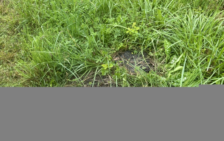 Terrain PUTTELANGE-AUX-LACS (57510)   85 000 € 