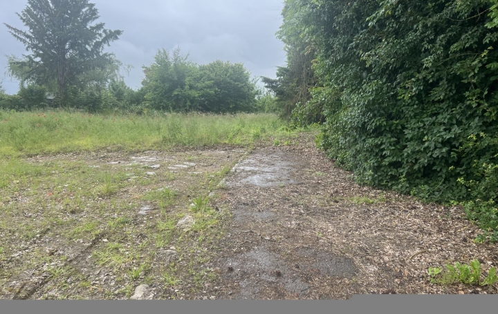 Terrain PUTTELANGE-AUX-LACS (57510)   85 000 € 