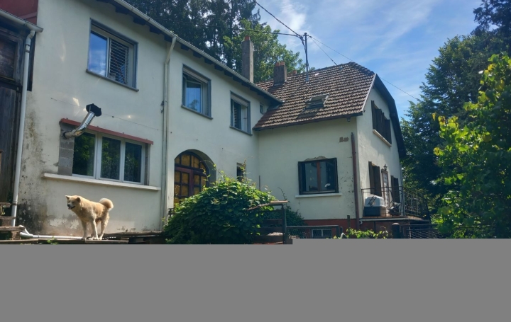 Maison TIEFFENBACH (67290)  190 m2 188 000 € 