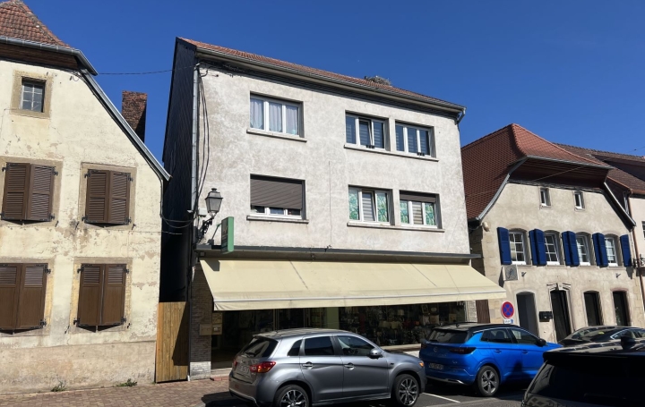 Immeuble SARRALBE (57430) 170 m<sup>2</sup> 189 000 € 
