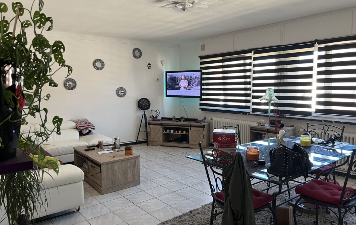 Immeuble SARRALBE (57430)  170 m2 189 000 € 