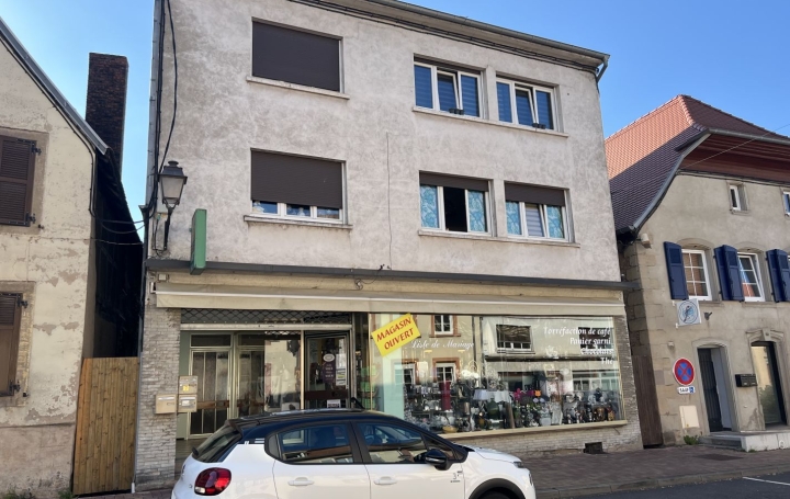 Immeuble SARRALBE (57430)  170 m2 189 000 € 