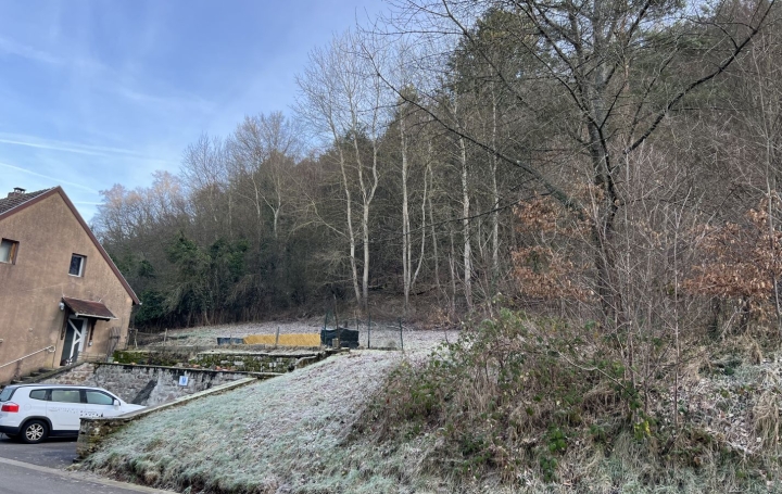 Maison HANVILLER (57230)  82 m2 19 000 € 